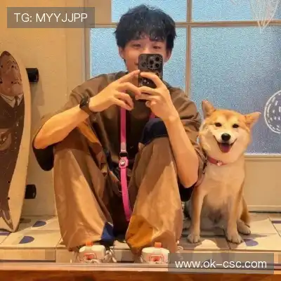 卫昭桥